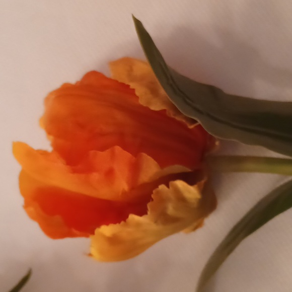 Pottery Barn (10) stems of tulips 🌷 - Picture 5 of 5